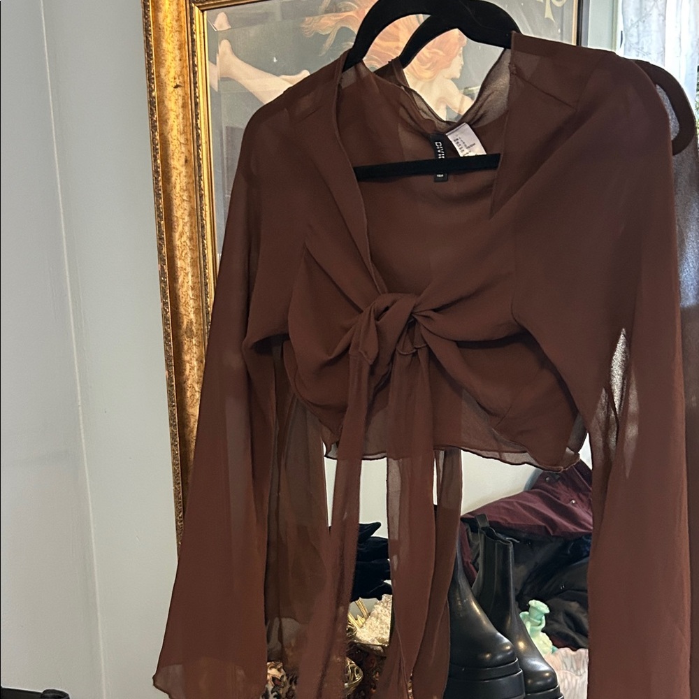 Divided Brown Sheer Tie-Front Blouse